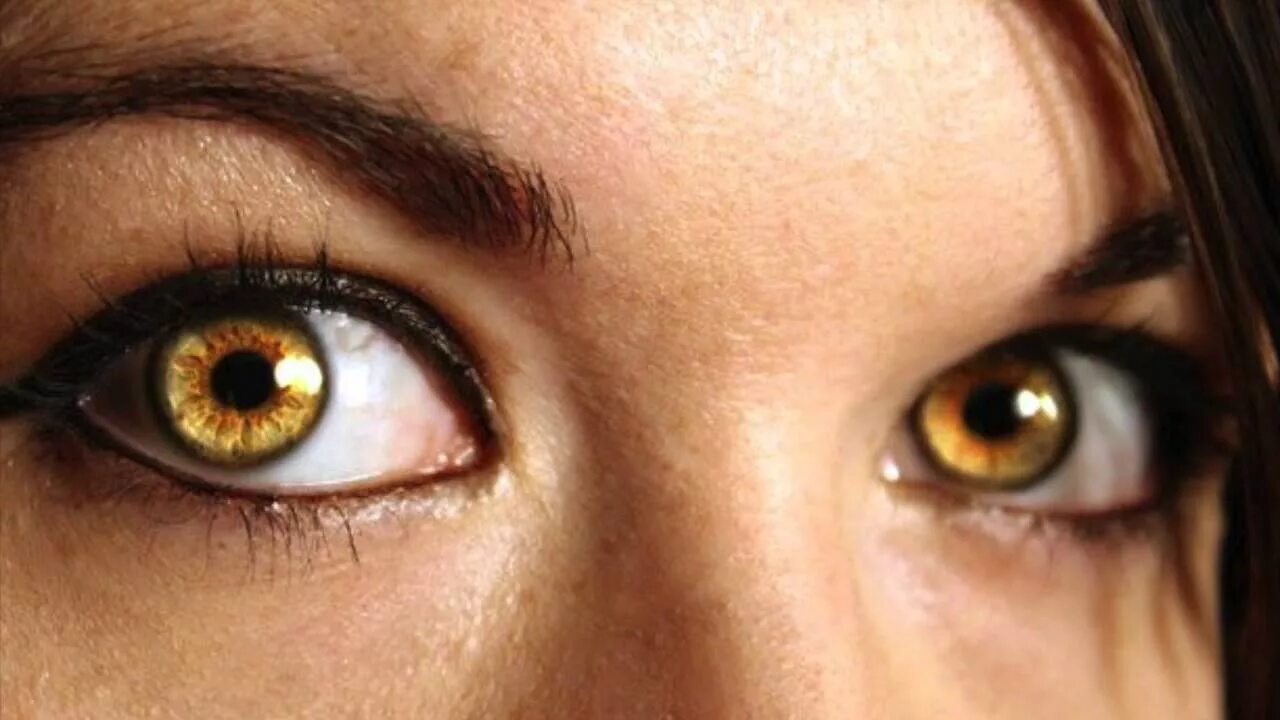 Худший цвет глаз. Карие янтарные глаза. Желтые глаза. Золотистый цвет глаз. Золотисто карие глаза.