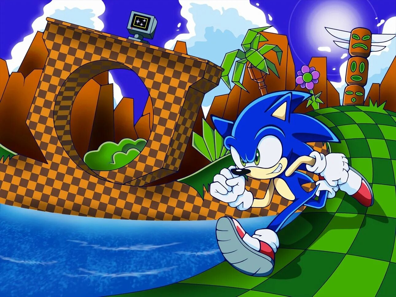 Соник гейм. Грин хилл соник. sonic the hedgehog грин хилл. соник green hill zone. соник the hedgehog 1 green hill zone.