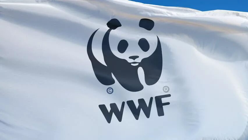 Всемирный фонд дикой природы WWF. Всемирный фонд дикой природы эмблема. Флаг WWF. Знаменитой эмблемы Всемирного фонда охраны дикой природы..