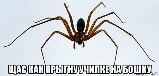 "найс" но Майкл Розен стал шреком (не шучу) - YouTube