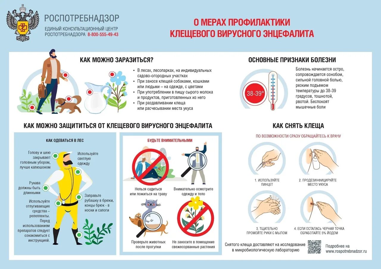 Когда начинаются клещи