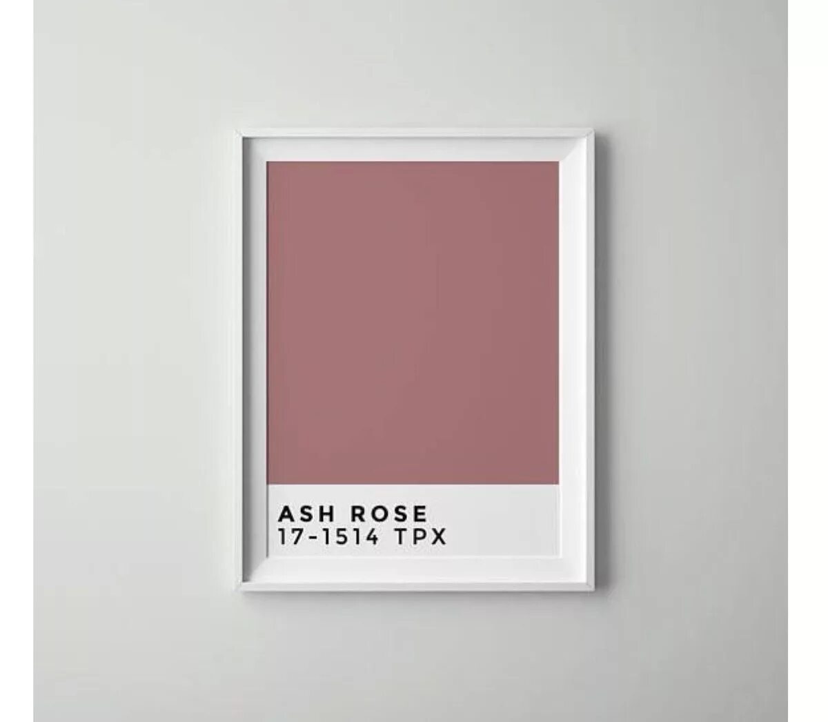 Pantone rose. Пантон ash rose. pantone розовый. ash rose цвет.