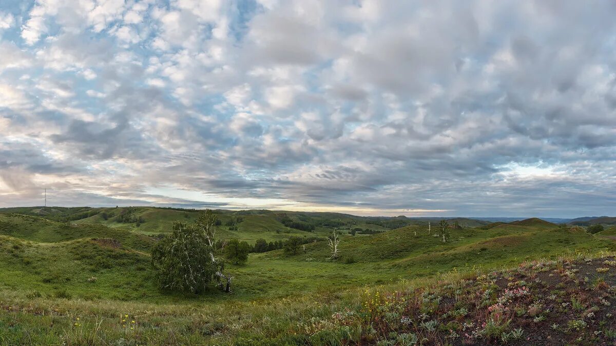 природа оренбургской области. оренбургские просторы - фото. оренбургские просторы. оренбургские просторы - фото. холмы оренбургской области.