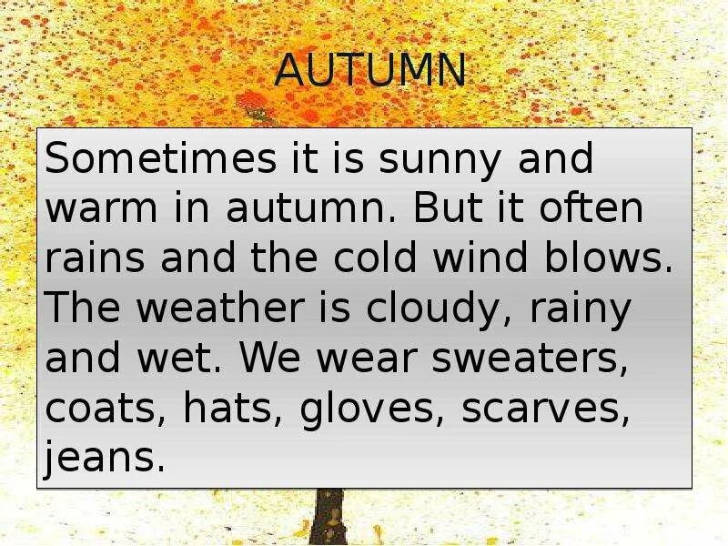 In autumn it is often. It is Sunny and warm. It is raining Now перевод. It is not often Rain in Summer задания. It/autumn/ often/ in.