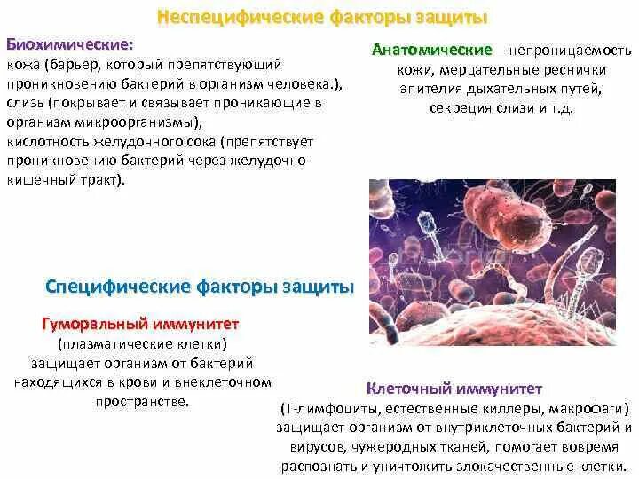Факторы защиты организма. Факторы защиты организма микробиология. Неспецифические факторы защиты человека. Неспецифические факторы защиты человека. Факторы защиты иммунитета схема.