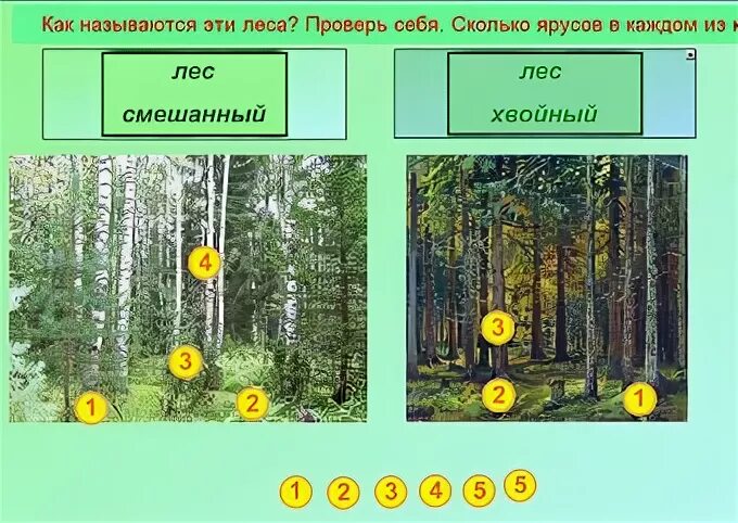 Лесник в лесу. Лесная охрана лесники. Как часто проверяются леса. Осмотр строительных лесов периодичность. Как часто проверяются леса.