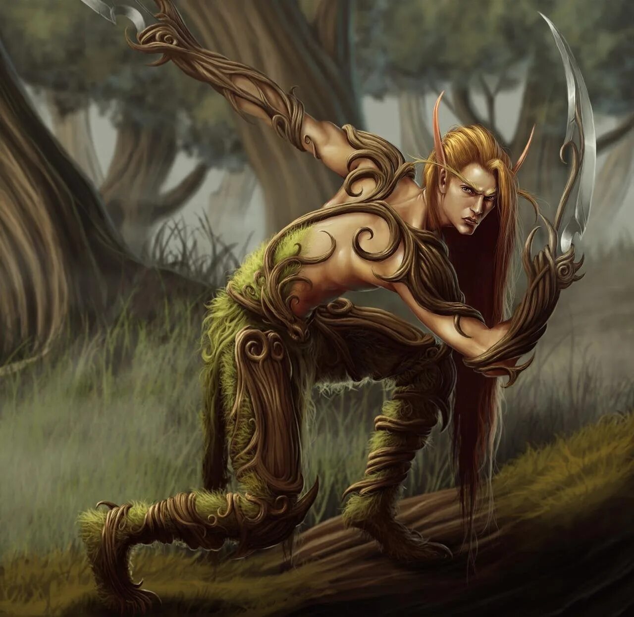 лес эльфов. где эльфы. фэнтези жители. фэнтези эльфы. где эльфы.