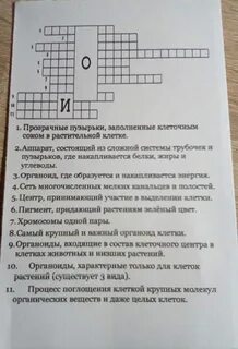Кроссворд углеводы биология