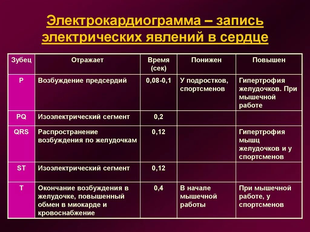 Электрические явления в сердце. Электрические явления в сердце ЭКГ. Электрические явления сердца кратко. Электрические явления в сердечной мышце.