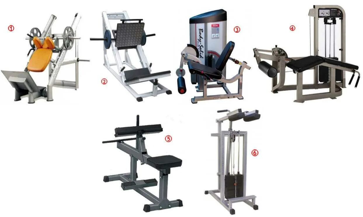 Тренажерный зал фон. New gym самара фитнес. Виды тренажерный зал. Тренажёры в спортзале. Виды тренажерный зал.