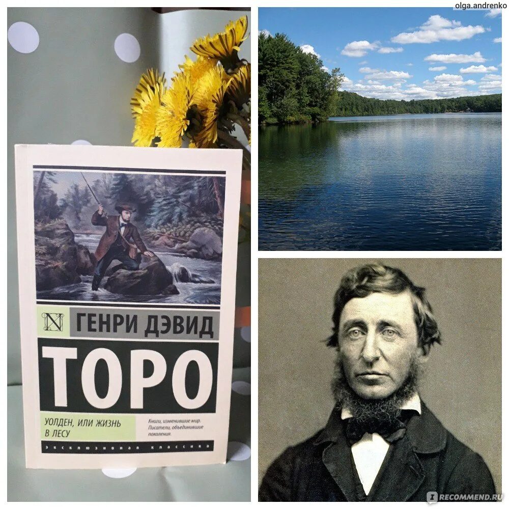 Дэвид торо книги. Книга Торо Уолден или жизнь в лесу.