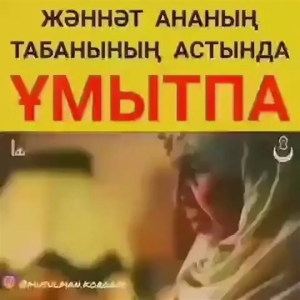 Қырынған кисканың жақыннан түсірілген бейнесі