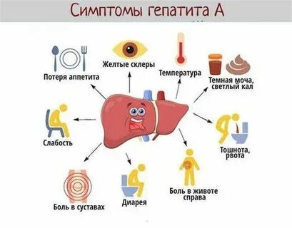 Гепатит симптомы отзывы