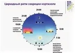 Где происходит выработка мелатонина