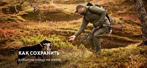 Дзен охота