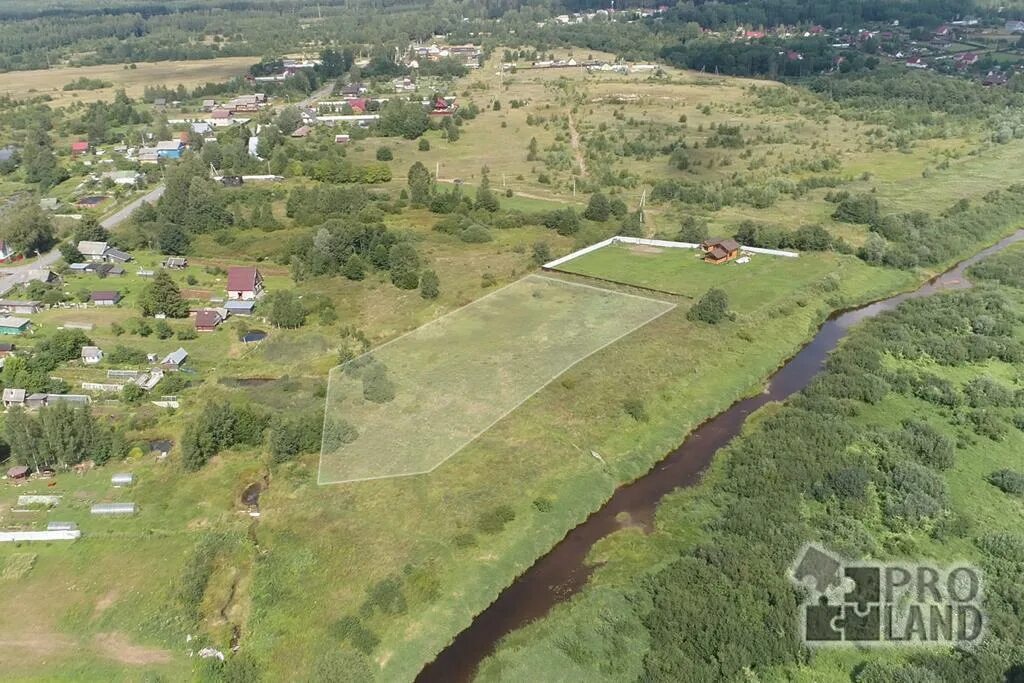 Савинское сельское поселение новгородская область. Плашкино новгородская. Плашкино новгородская область. Новгородская обл. Плашкино фото.
