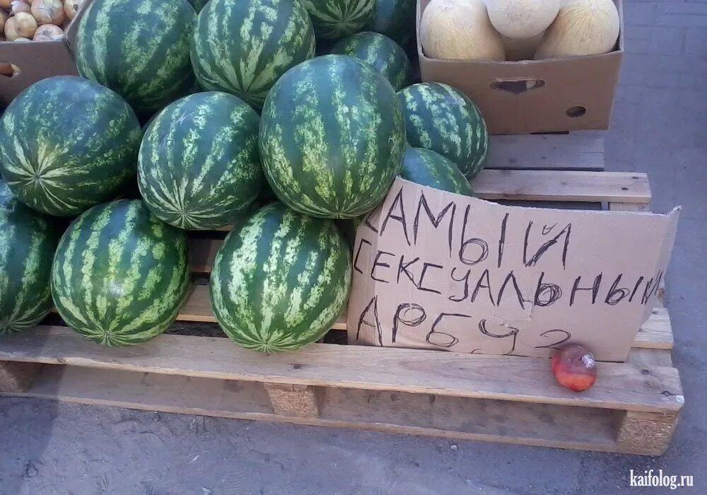 Арбузы здесь. Арбуз. Арбуз смешно. Арбуз прикол. Сладкий Арбуз.