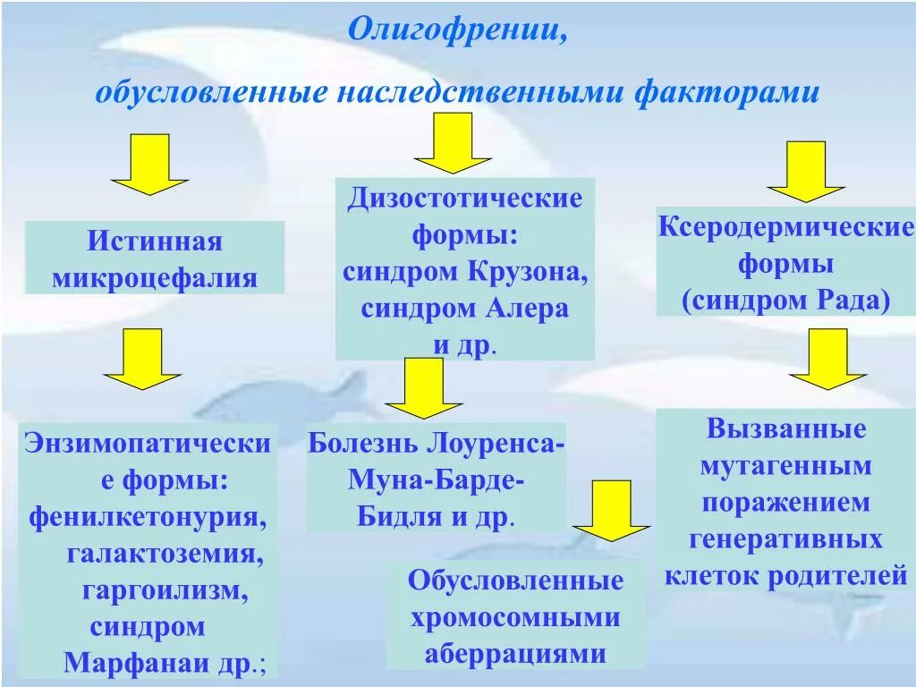 Синдромы умственной отсталости таблица. Классификация умственной отсталости схема. Наследственно обусловленные формы умственной отсталости. Умственная отсталость обусловленная генетическими факторами это. Наследственной умственной отсталости