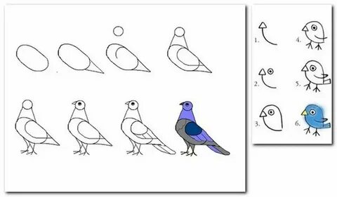 Птица рисовать поэтапно