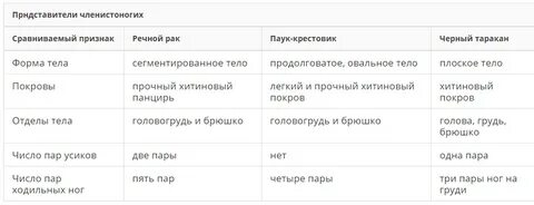 Речной рак и паук крестовик