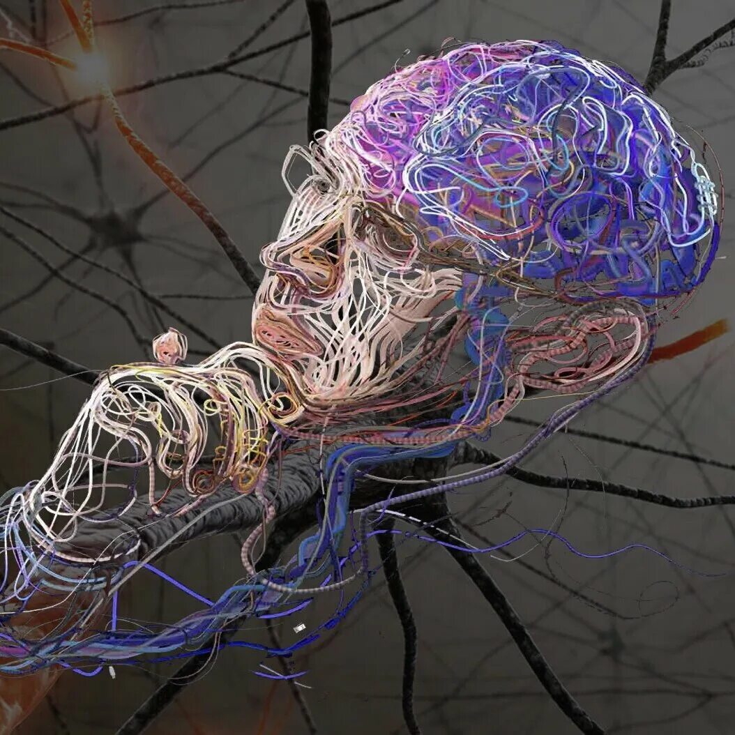 Изображение человека нейросеть. Нейронная сеть мозга. Нейронные связи головного мозга. Нейронные сети головного мозга. Мозг нейросети.