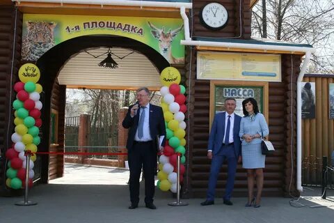 Сайт лимпопо нижний новгород