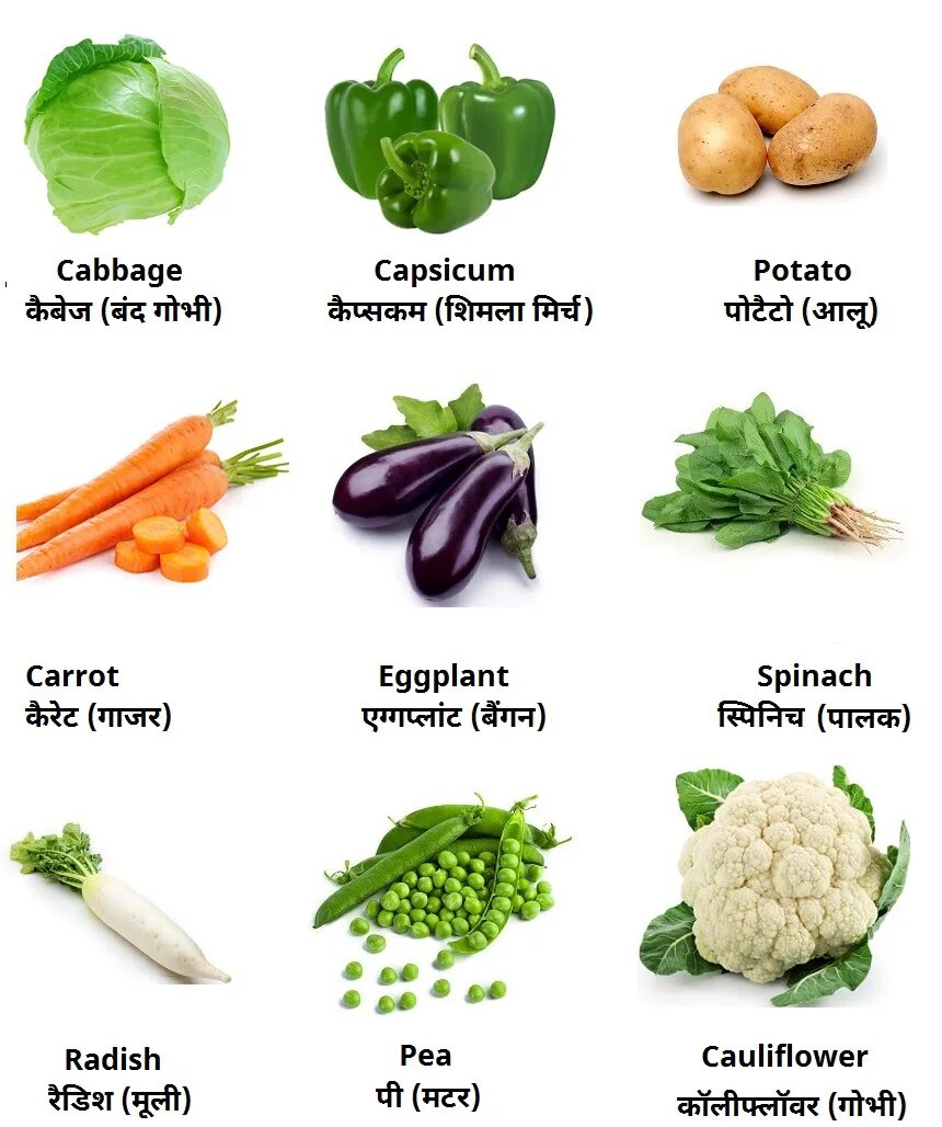 Where vegetables. Овощи на английском. Types of Vegetables. Все виды овощей. Names of Vegetables in English.