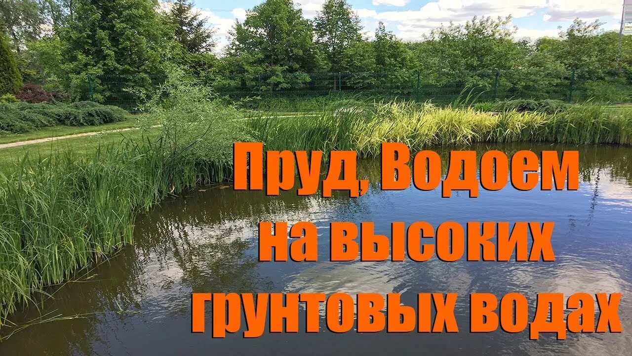Пруд ошибки. Пруд ошибки
