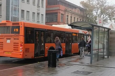 61 автобус нижний