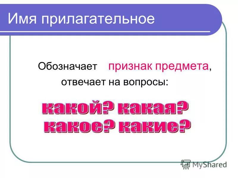 Прилагательное обозначает признак предмета определяющий его. Притяжательные прилагательные. Прилагательное обозначает признак предмета определяющий его. Определение имени прилагательного. Словарь синонимов прилагательные обозначающие признак по цвету.