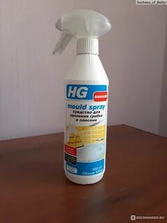 Hg хим