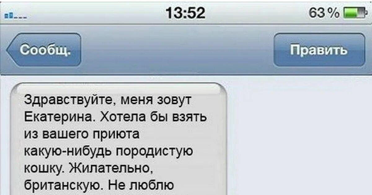 Здравствуйте меня зовут я представляю компанию. Меня зовут катя. здравствуйте меня зовут катя на украинском языке. английский язык привет меня зовут катя.
