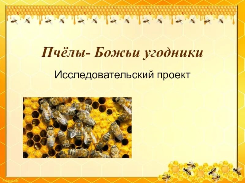 Пчеловодство 3 класс. Пчеловодство проект. проекты о пчеле исследовательские. проект пчеловодство 3 класс окружающий мир. пчелы проект 3 класс.