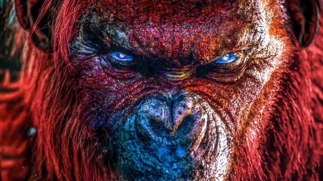 Годзилла и конг the new empire. Годзилла и конг новая империя. godzilla x kong the new empire 2025.