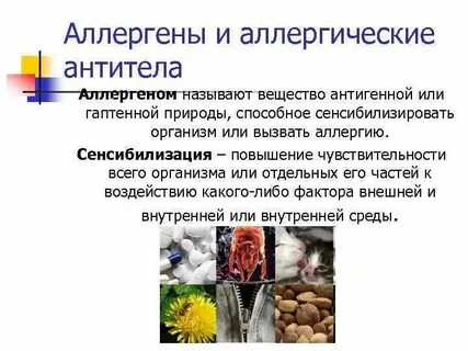 Аллергические антитела