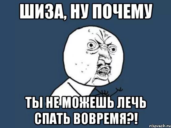 Что такое шиза. Шиза мем. шиза прикол. мемы про шизу. привет шиза.