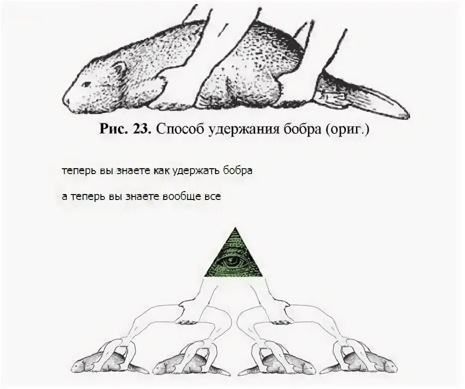 Способы удержания бобоа. Способ удержания бобра. Метод удержания бобра. Способ удержания бобра Мем.