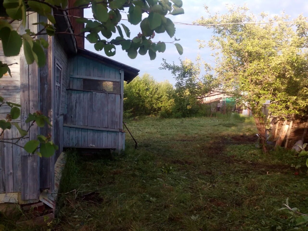 Погода в пупышево сегодня и завтра. Пупышево ленинградская область. снт пупышево. садоводство пупышево. снт горизонт пупышево.