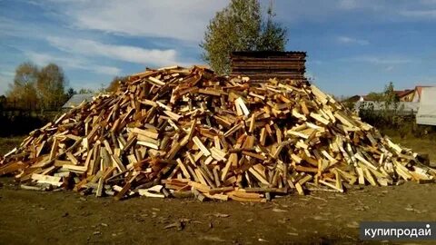 Дешевые дрова в твери