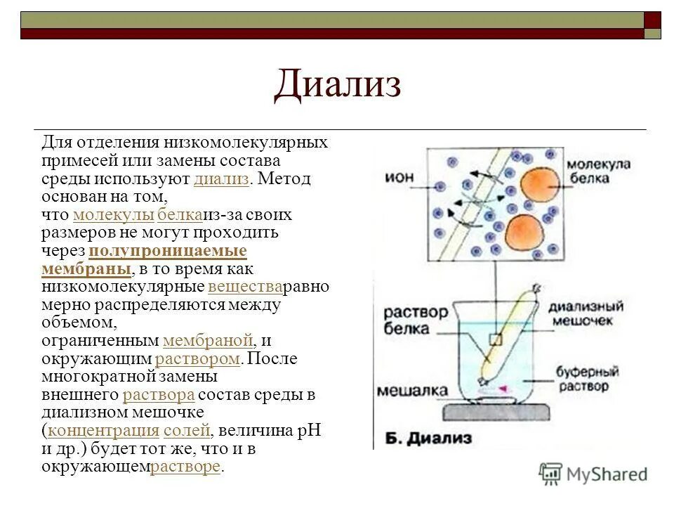 Диализ белков. Очистка белков от низкомолекулярных примесей методом диализа. Принцип метода очистки белков от низкомолекулярных примесей. Методы очистки белков диализ. Методы очистки белка.