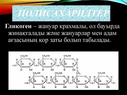 Полисахаридтер