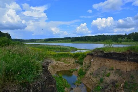 Канаши курганская область