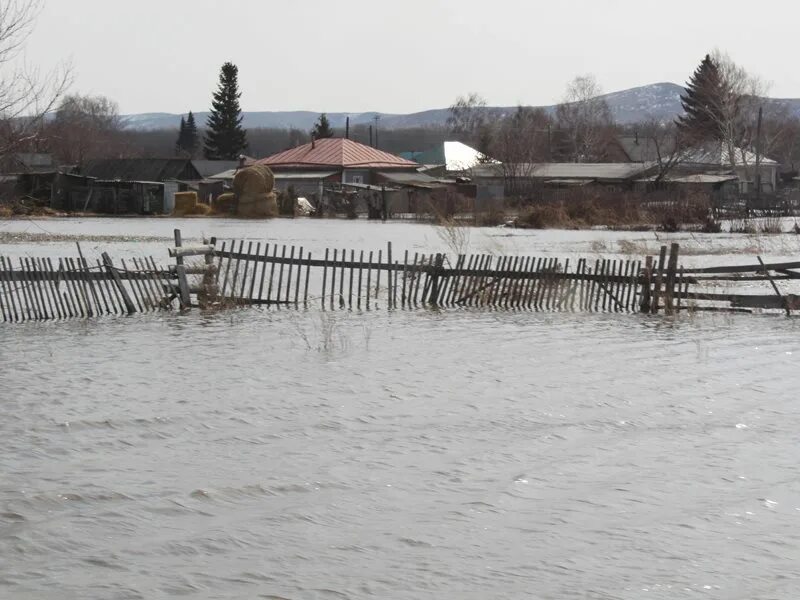 Погода на месяц петропавловское алтайского края. Антоньевка Петропавловский район Алтайский край. Николаевка Петропавловский район Алтайский край. Алтайский край Петропавловский район село Соловьиха. Алтайский край, Петропавловский р-н, с. Соловьиха.