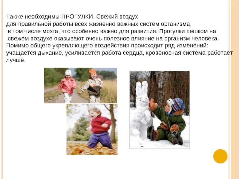 Выберите прогулку