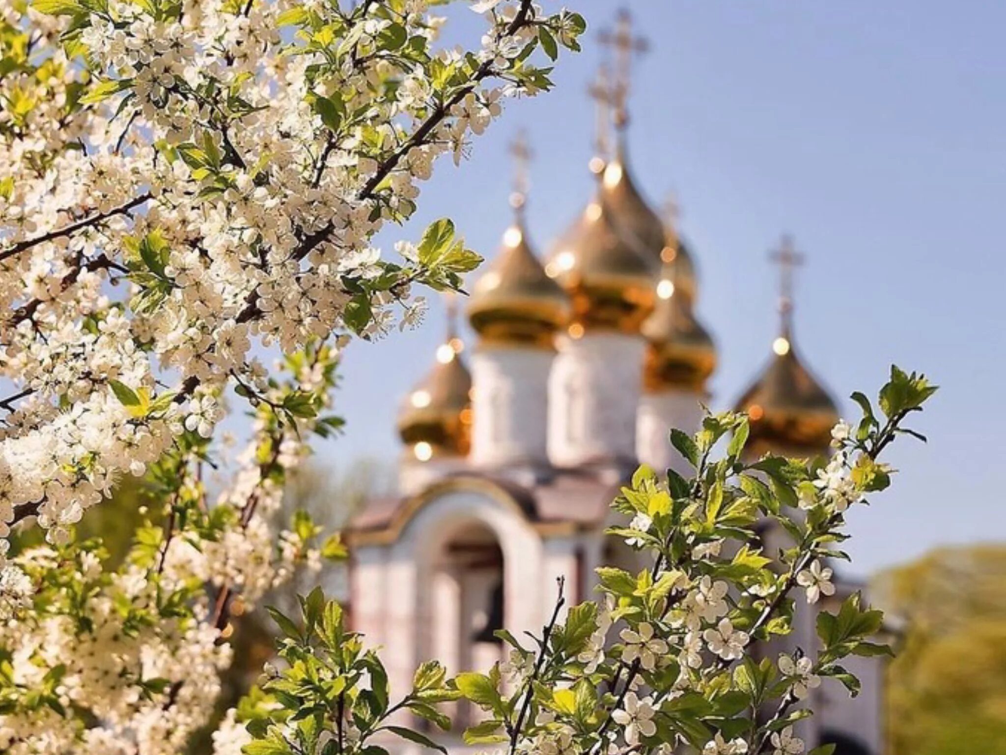 Православные картинки. Дивеево весной. Церковь весной. Православный храм весной. Красивая Церковь весной.