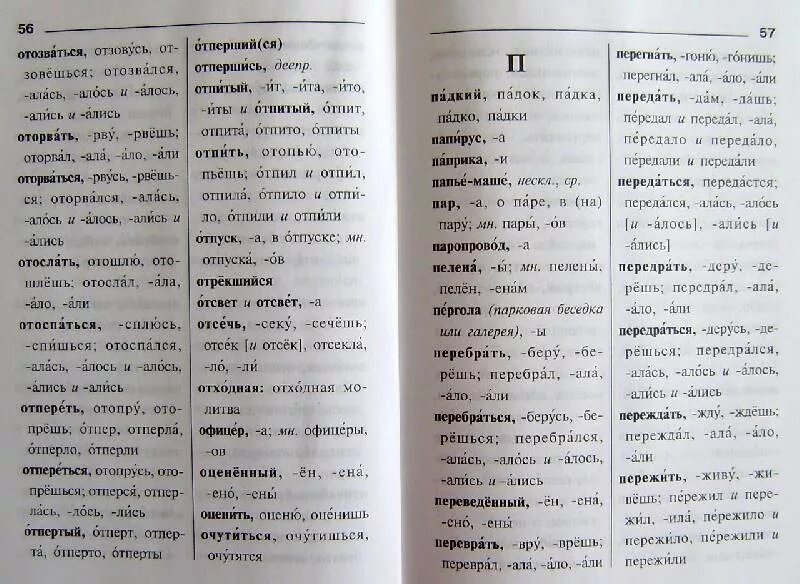 Пелена значение. Словарь ударений. Слово пелена в словаре. Зажило ударение в слове. Словарь по чтению.