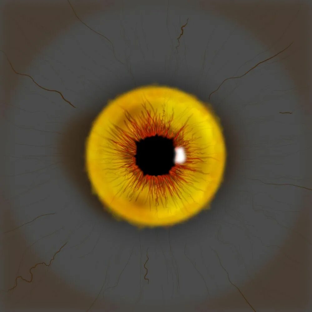 Желтый глаз 13. Желтые глаза. Желтые зрачки. Желто оранжевые глаза. Желтые зрачки глаз.