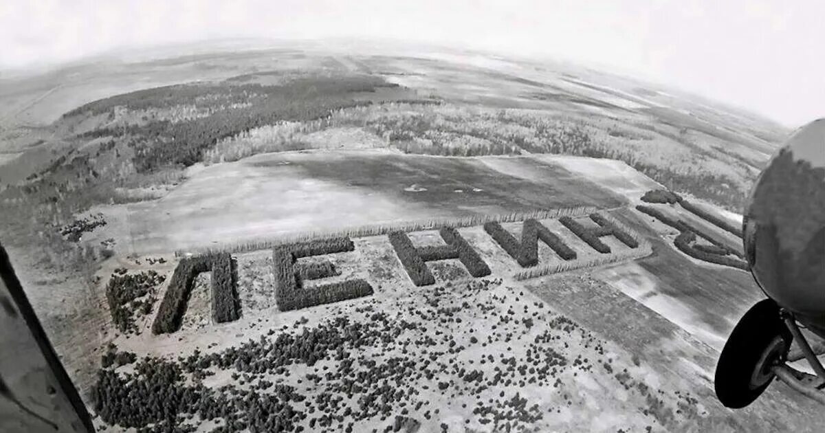 Тюкалинск ленин деревья. Тюкалинск ленин. Ленину 100 лет из деревьев курганская область. Геоглиф ленин омская область. Геоглиф ленин тюкалинск.