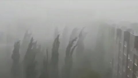 Когда в воронеже пройдут дожди