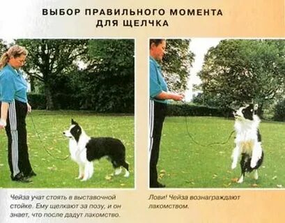 Правильный момент